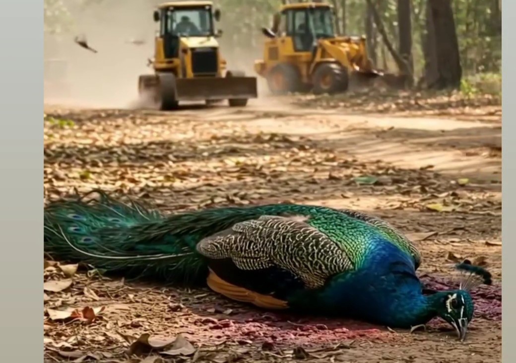 हैदराबाद में जानवरों की दर्दनाक हालत