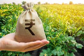 What is a cash crop ?