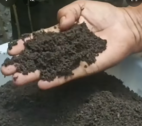 how to do gardening at home