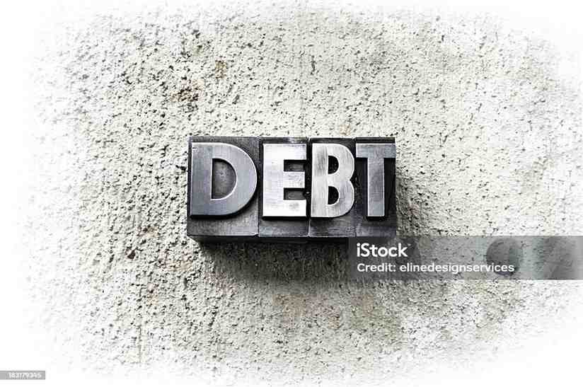 parts of public debt